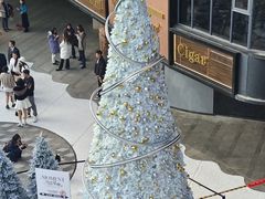 -绿茶餐厅(昆明世纪金源店)