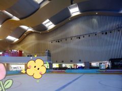 -冰上乐园(大卫城店)