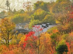 -塔川景区