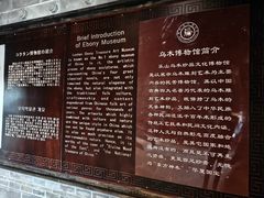 -乐山乌木文化博览苑