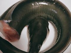-南京众彩农副产品配送有限公司