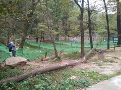 -鲁山国家森林公园