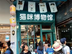 -猫咪博物馆(顶澳仔猫街店)