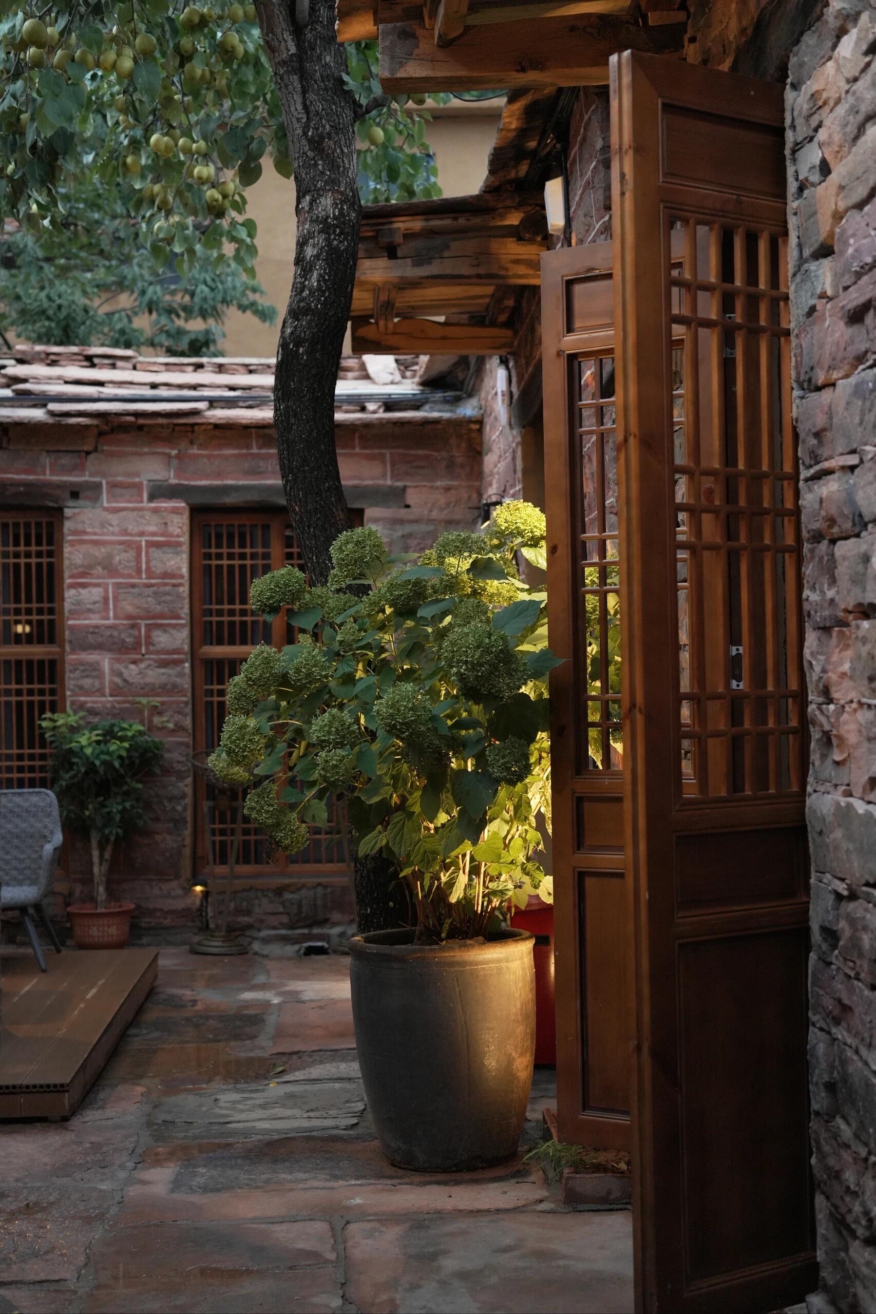 有这样一个小院