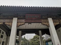 -团结湖公园