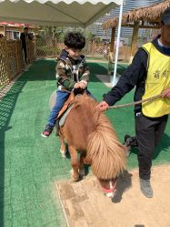 -萌宠亲子动物乐园(槐房万达店)