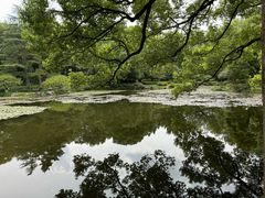 -杭州植物园