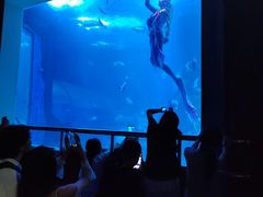 -太平洋海底世界