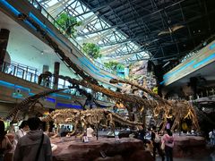 -安徽省地质博物馆