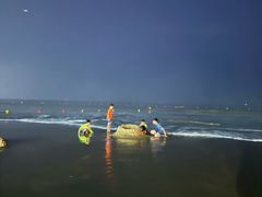 -日照海滨国家森林公园