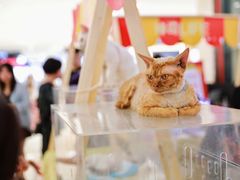 -银泰百货(海宁店)
