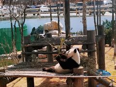 -西霞口神雕山野生动物世界