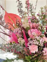 -美肤盾祛痘·问题肌头疗管理中心