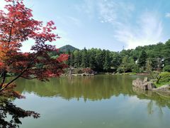 -四明山国家森林公园