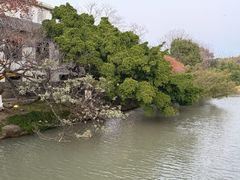 -江心屿景区