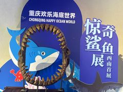 -重庆欢乐海底世界