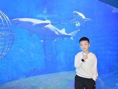-大连圣亚海洋世界
