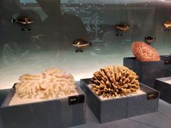 -中国湿地博物馆