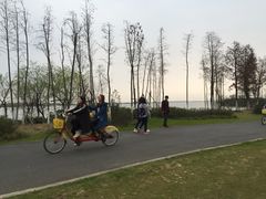 -瑶湖郊野森林公园