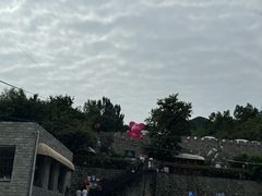 -京北渔家傲