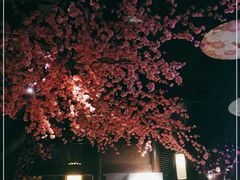 -韵秋荷(宝山龙湖天街店)