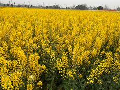 -中国天府农业博览园