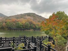 -白马涧龙池景区