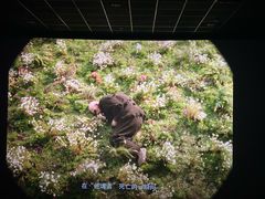 -万达影城(世茂海峡广场IMAX店)