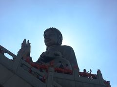 -龙口南山旅游景区