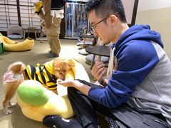 -逗柴咖啡屋·狗咖猫咖宠物桌游