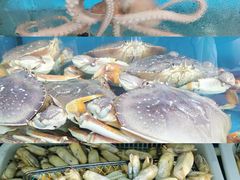 -渔中舟海鲜大排档(普陀沈家门店)