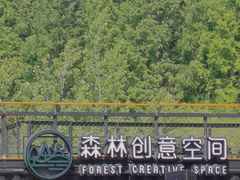 -黄海国家森林公园