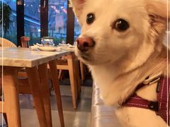 -the rug 飞毯 (朝阳公园店)