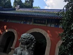 -灵谷景区