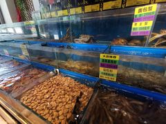 -黄寺蒸汽海鲜(黄寺大街店)