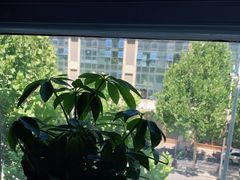 -大鸭梨烤鸭(枣园店)