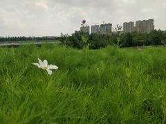 -长春世界雕塑园冰雪艺术天地