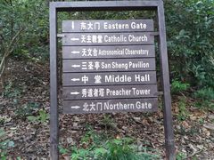 -上海佘山国家森林公园西佘山园