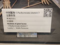 -北京周口店北京人遗址博物馆