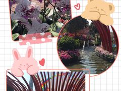 -海心沙亚运公园