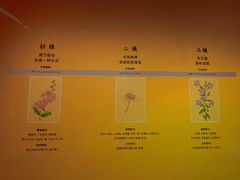 -中国湿地博物馆