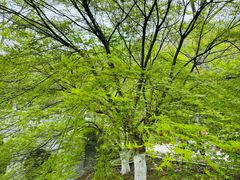 -南山风景名胜区