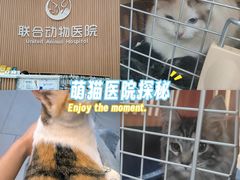-联合动物医院(光谷诊疗中心)