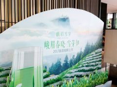 -成都峨眉雪芽大酒店