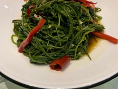 -巴依老爷新疆美食(望京小街店)