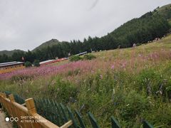 -驼梁风景区