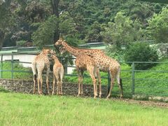 -沈阳森林动物园