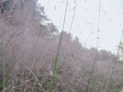 -牛岗山公园