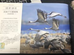 -帝京日语(春熙路旗舰校区)