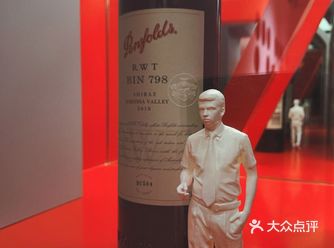 段奕宏代言的奔富酒庄葡萄酒